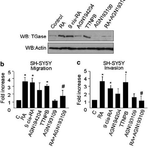are rxrs similar to rars